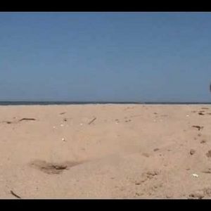 Meet your Posher, Ali